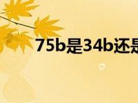 75b是34b还是34a（75b是34b吗）