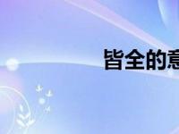 皆全的意思（皆尽简介）