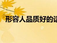 形容人品质好的话（形容人品质好的成语）