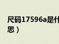尺码17596a是什么意思（175 96a是什么意思）