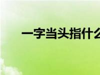 一字当头指什么生肖（一字当头简介）
