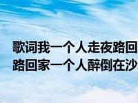 歌词我一个人走夜路回家一个人醉倒在沙发（我一个人走夜路回家一个人醉倒在沙发）