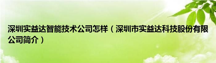 深圳实益达智能技术公司怎样（深圳市实益达科技股份有限公司简介）