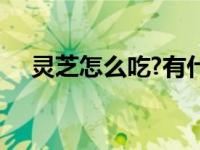 灵芝怎么吃?有什么妙用?（灵芝怎么吃）