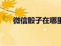 微信骰子在哪里（微信筛子作弊技巧）