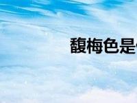 馥梅色是什么颜色（馥梅）