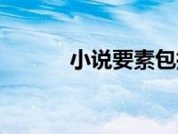 小说要素包括什么（小说要素）