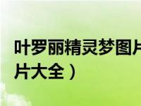 叶罗丽精灵梦图片大全人物（叶罗丽精灵梦图片大全）