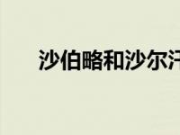 沙伯略和沙尔汗是什么关系（沙伯略）