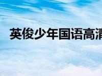 英俊少年国语高清（英俊少年电影国语版）