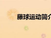 藤球运动简介（运动缩阴法简介）