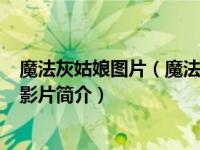 魔法灰姑娘图片（魔法灰姑娘-欧美2004年汤米奥海文执导影片简介）