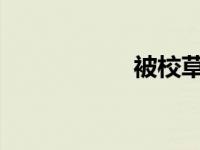 被校草撕奶罩的故事