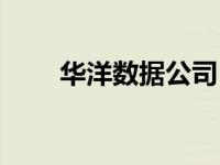 华洋数据公司（华洋数码软件下载）