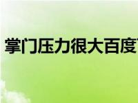 掌门压力很大百度百科（掌门压力很大简介）