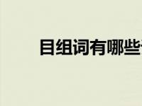 目组词有哪些词组（目组词有哪些）
