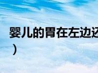 婴儿的胃在左边还是右边（胃在左边还是右边）
