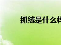 抓绒是什么样子的（抓绒是什么）