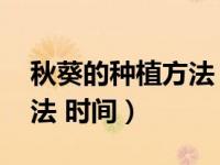 秋葵的种植方法 时间和季节（秋葵的种植方法 时间）