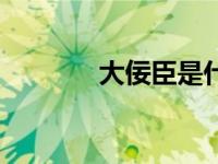 大佞臣是什么意思（大佞臣）