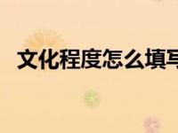 文化程度怎么填写博士（文化程度怎么填）
