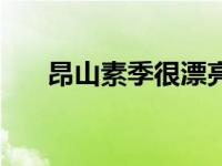 昂山素季很漂亮（昂山素季玫瑰简介）