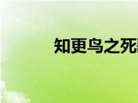 知更鸟之死歌曲（知更鸟之死）