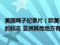 美国鸭子纪录片（欧美有鸭子吗 看外国电影好像鸭子是中国的标志 亚洲其他地方有）