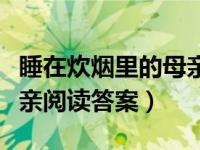 睡在炊烟里的母亲阅读理解（睡在炊烟里的母亲阅读答案）