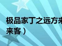极品家丁之远方来客续章节（极品家丁之远方来客）