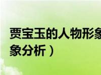 贾宝玉的人物形象分析论文（贾宝玉的人物形象分析）
