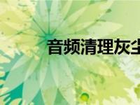 音频清理灰尘（音频清灰器简介）