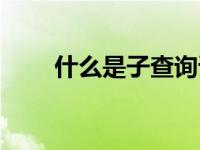 什么是子查询语句（什么是子查询）