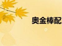 奥金棒配方（奥金棒材料）