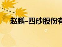 赵鹏-四砂股份有限公司董事会秘书简介