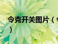 令克开关图片（令克软件-杭州有限公司简介）