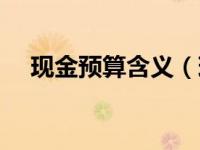 现金预算含义（现金预算属于什么预算）