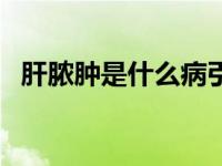 肝脓肿是什么病引起的（肝脓肿是什么病）