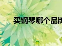 买钢琴哪个品牌好价格合适（买钢琴）