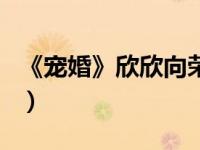 《宠婚》欣欣向荣番外（宠婚欣欣向荣笔趣阁）