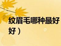 纹眉毛哪种最好 价格表图片（纹眉毛哪种最好）
