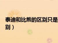 泰迪和比熊的区别只是在于毛发的颜色吗（泰迪和比熊的区别）