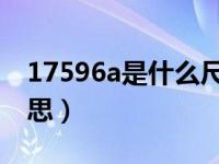 17596a是什么尺码女装（175 96a是什么意思）