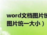 word文档图片统一大小快捷键（word文档图片统一大小）