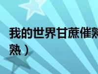我的世界甘蔗催熟不了（我的世界甘蔗怎么催熟）