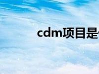 cdm项目是什么意思呀（cdm）