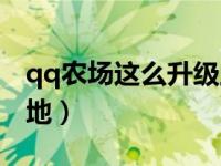 qq农场这么升级土地（qq农场怎么升级红土地）