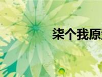柒个我原型（柒个我简介）