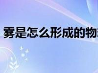 雾是怎么形成的物态变化（雾是怎么形成的）