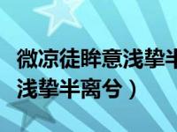 微凉徒眸意浅挚半离兮出自哪里（微凉徒眸意浅挚半离兮）